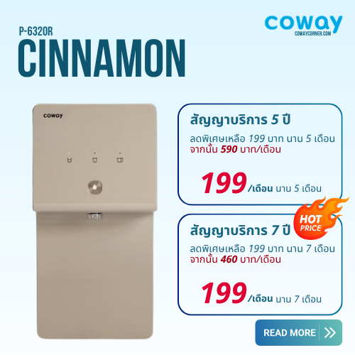Cinnamon-Promotion-2569